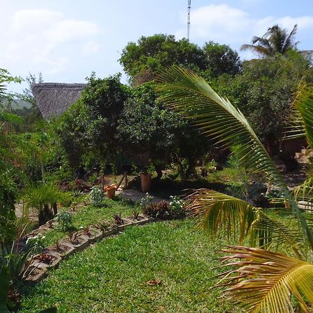 Casa Camaleao Gekko Cottadge Hotell Praia do Praia do Tofo Exteriör bild