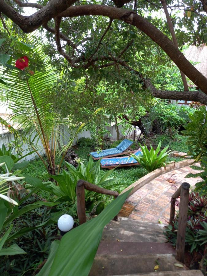 Casa Camaleao Gekko Cottadge Hotell Praia do Praia do Tofo Exteriör bild