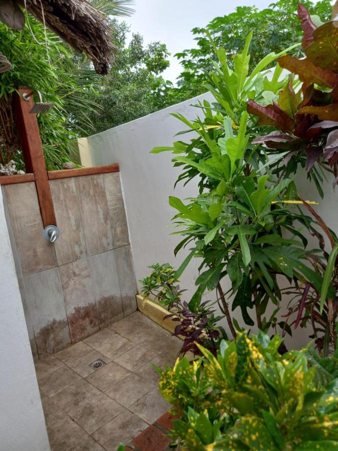 Casa Camaleao Gekko Cottadge Hotell Praia do Praia do Tofo Exteriör bild